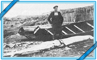 Calmar géant de Terre-Neuve